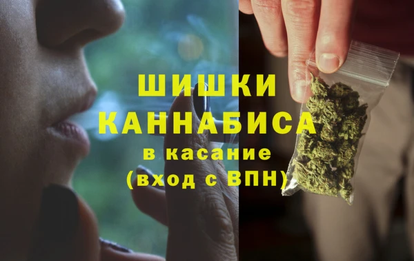 PSILOCYBIN Алексеевка