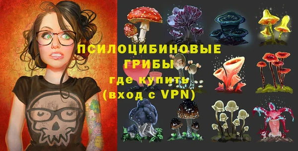 PSILOCYBIN Алексеевка
