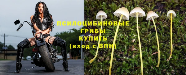 2c-b Алзамай